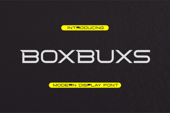 Boxbuxs: The Modern Display Typeface for Creative Campaigns