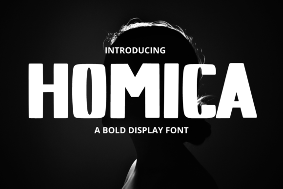 Homica: A Bold Display Typeface for Modern Web Design